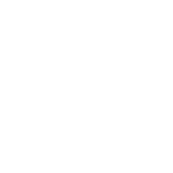 zdrowo nakrecony logo